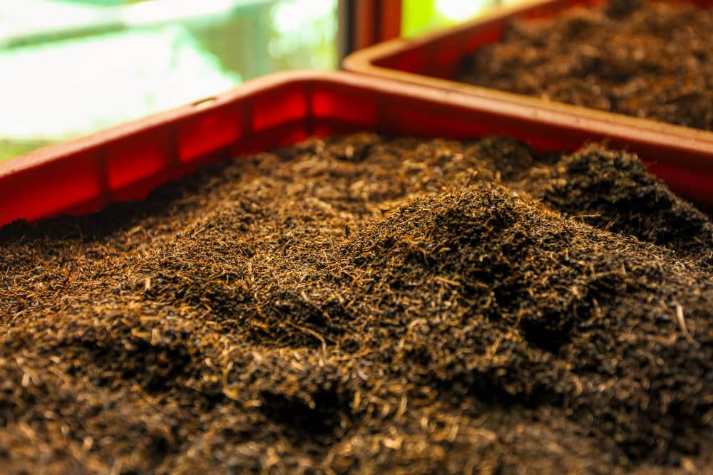 Keep Bulk Quantities of Tea Sealed and Separate