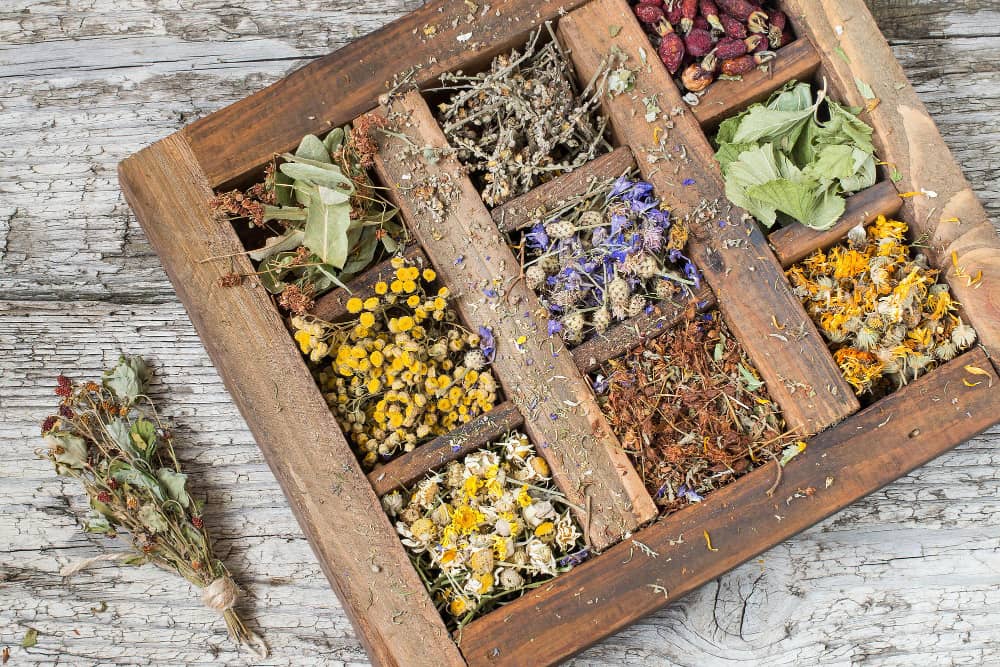 Use Cool and Dry Conditions to Store Tea