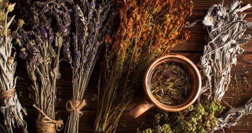 Best Herbal Teas for Relaxation