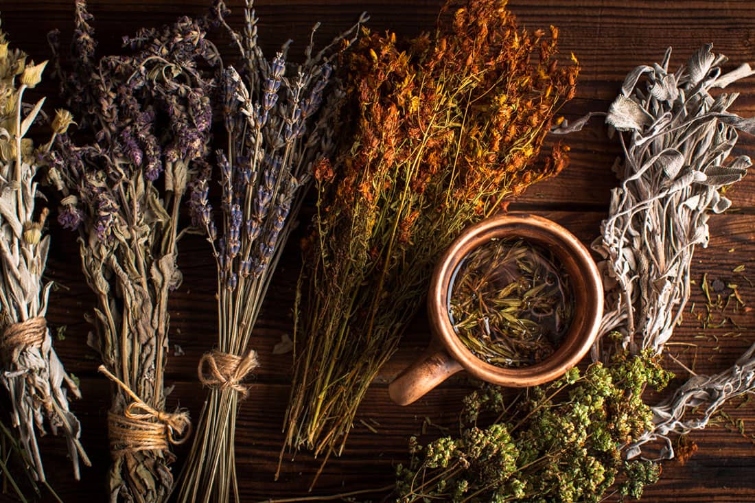 Best Herbal Teas for Relaxation