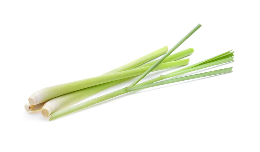 Side Effects of Lemongrass